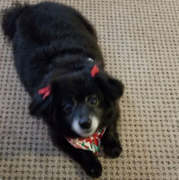 Meet your Posher, Patti - Picture 4 of 10